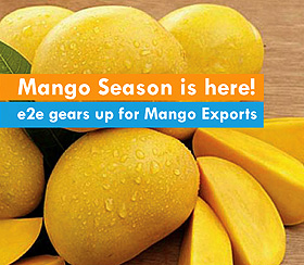 Mango Season is here